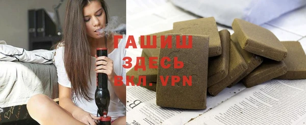 индика Надым
