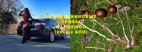 ПСИЛОЦИБИНОВЫЕ ГРИБЫ Белая Холуница