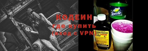 индика Надым
