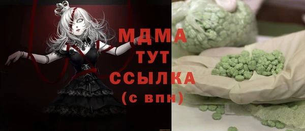 индика Надым
