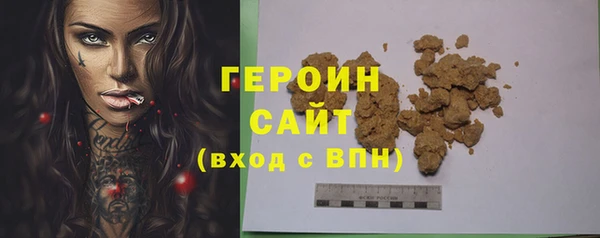 индика Надым