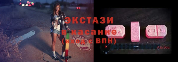 индика Надым