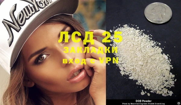 индика Надым