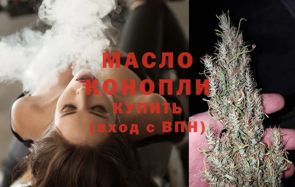 индика Надым