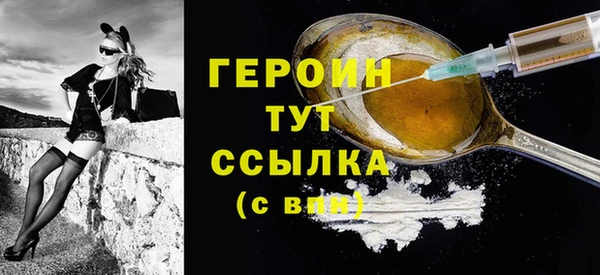 индика Надым