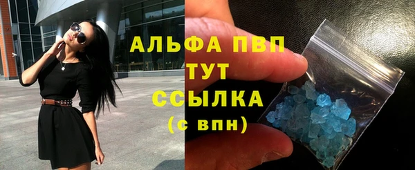 индика Надым