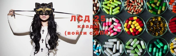 индика Надым