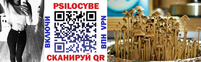 Галлюциногенные грибы Psilocybine cubensis  Тюкалинск 